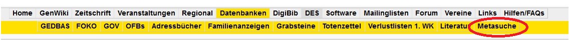 Meta-Navi, Meta-Suche